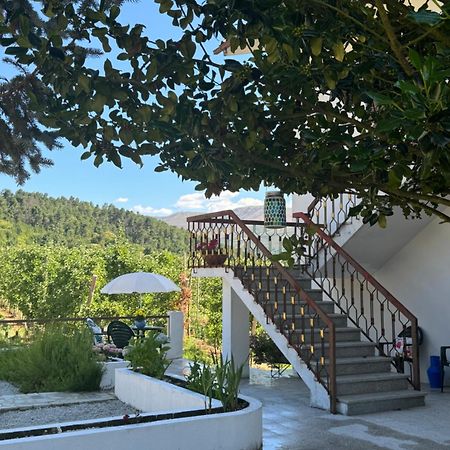 Вилла Casa Vicente Ламегу Экстерьер фото