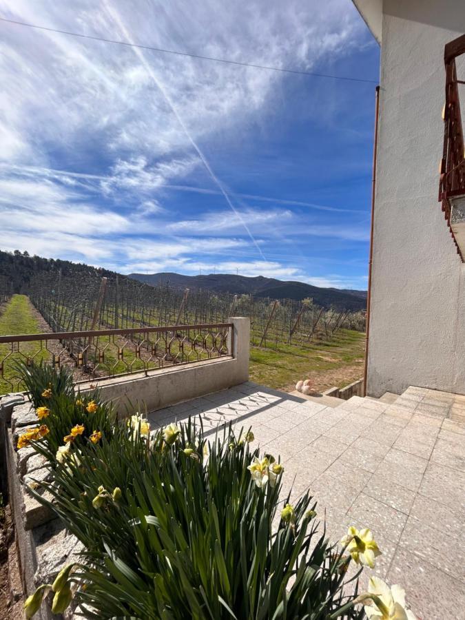 Вилла Casa Vicente Ламегу Экстерьер фото
