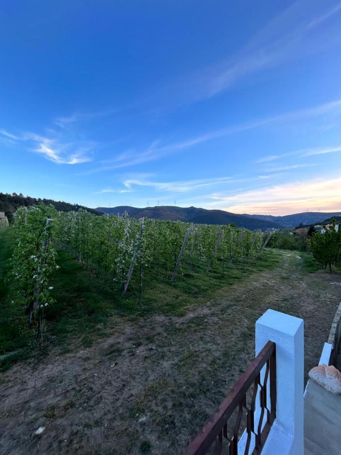 Вилла Casa Vicente Ламегу Экстерьер фото