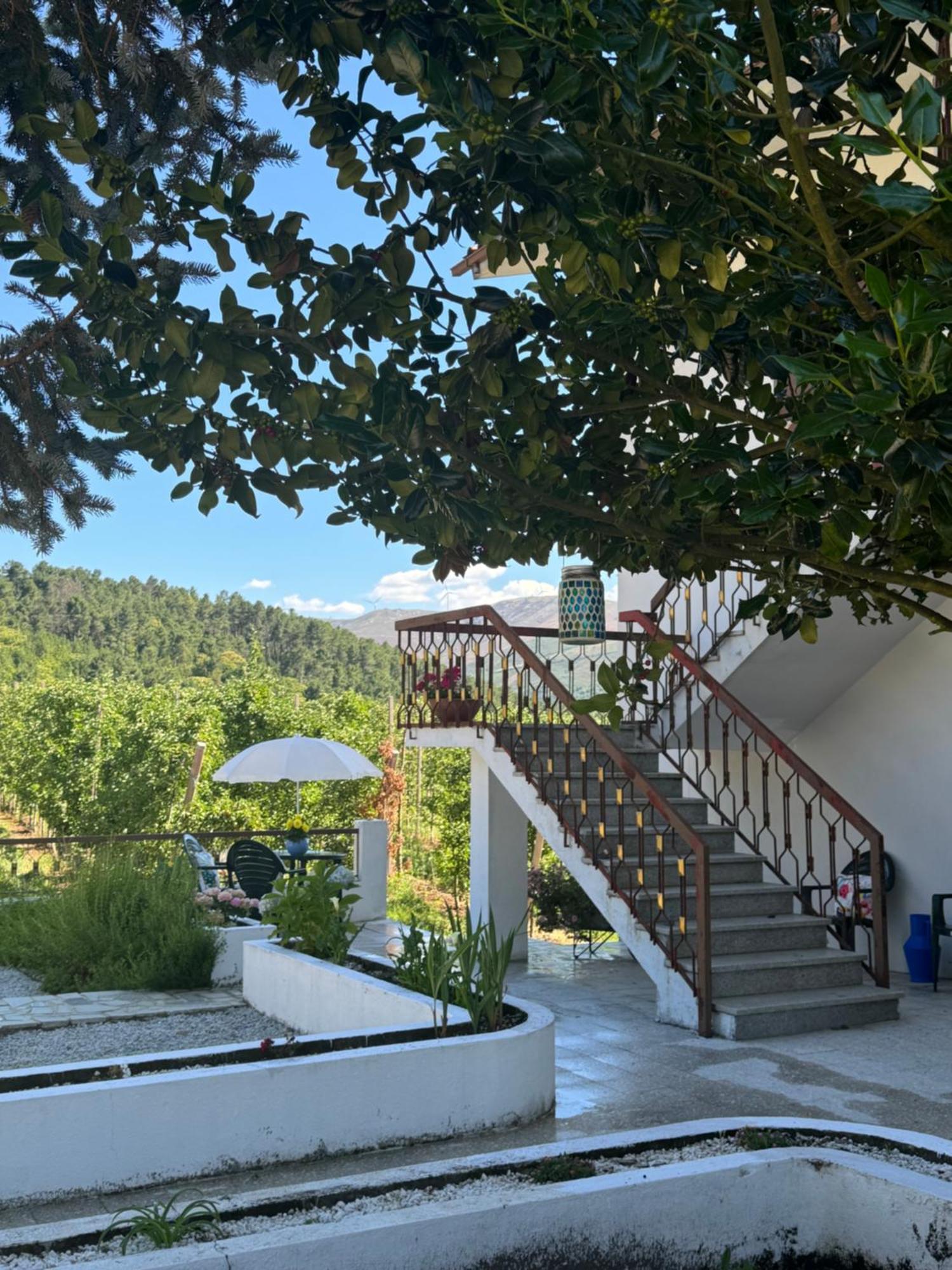 Вилла Casa Vicente Ламегу Экстерьер фото