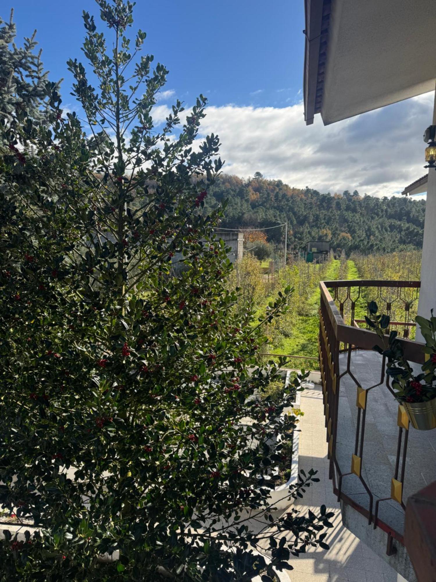 Вилла Casa Vicente Ламегу Экстерьер фото
